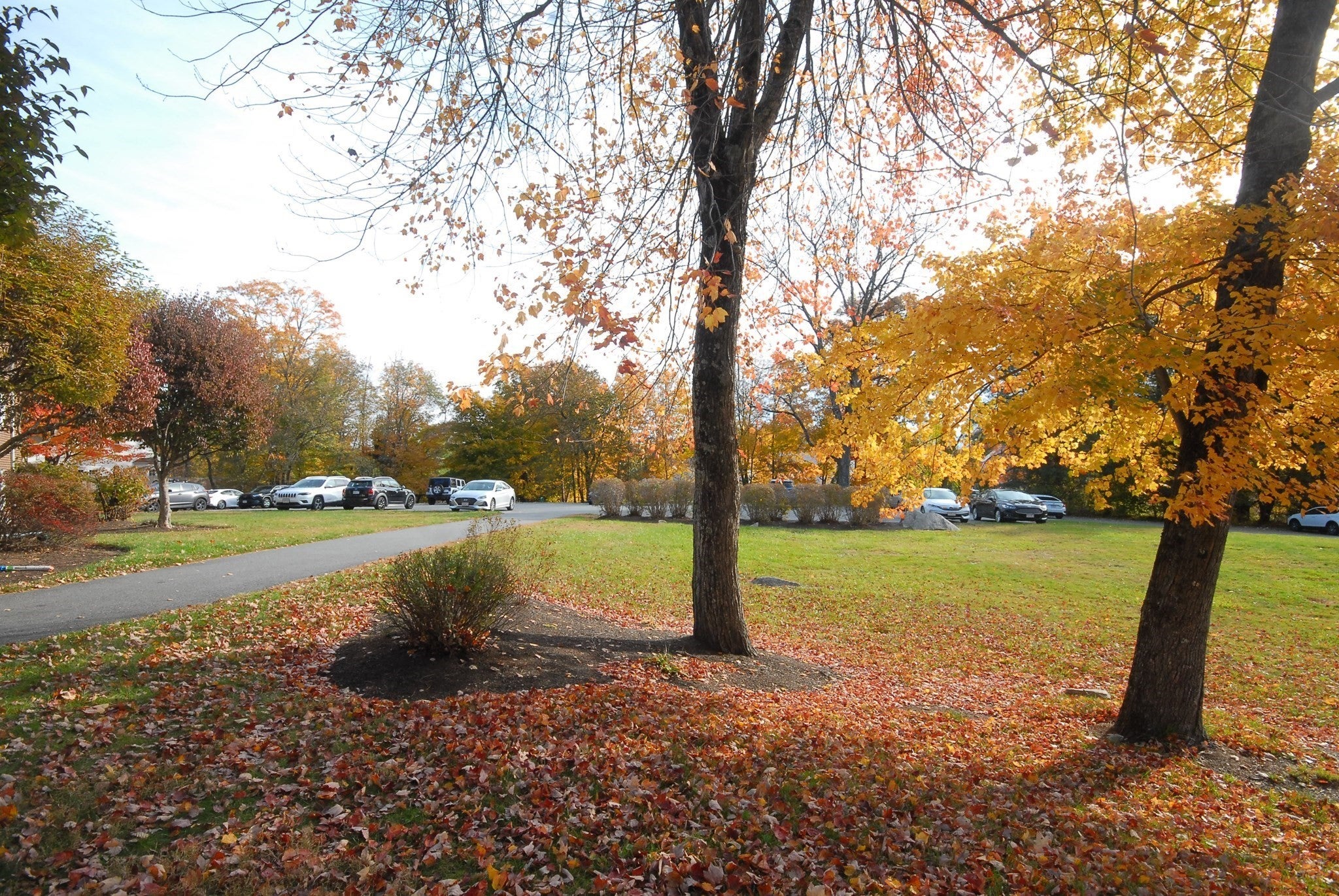 773 Massachusetts Ave #A10, Boxborough, MA, 773 Massachusetts Ave #A10, Boxborough, MA Photo #17