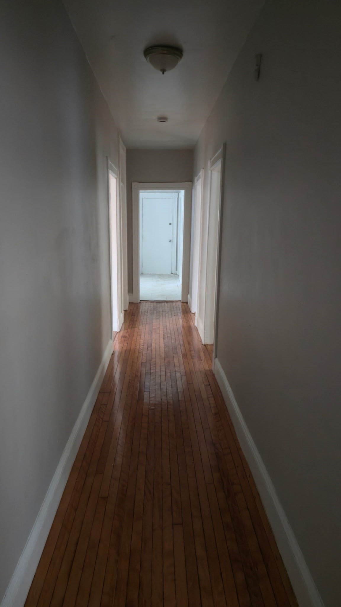 86 Lonsdale St #1, Boston, MA, 86 Lonsdale St #1, Boston, MA Photo #2