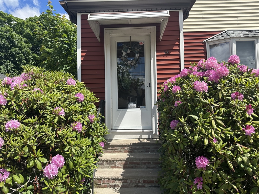 54 Dudley Street