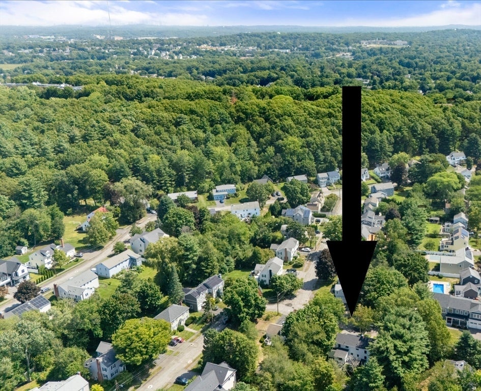 14 Fuller Brook Ave, Needham, MA Photo #32