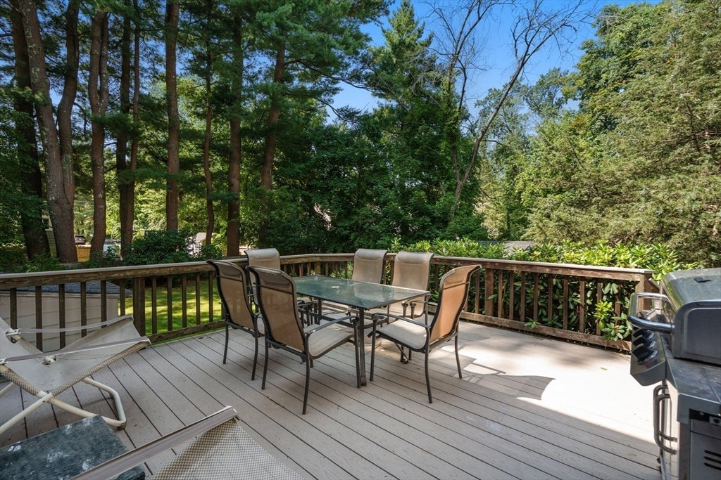 14 Fuller Brook Ave, Needham, MA Photo #25