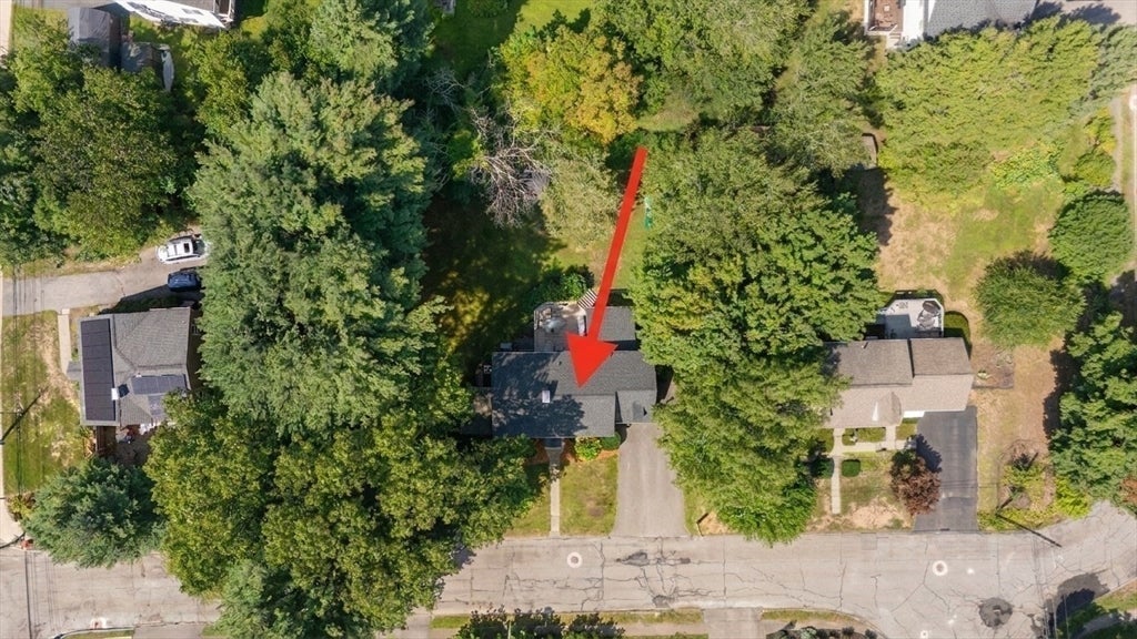 14 Fuller Brook Ave, Needham, MA Photo #31