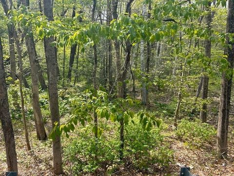Photo of 45 Fox Hill Rd, Mashpee, MA 02649 (MLS # 73522589)