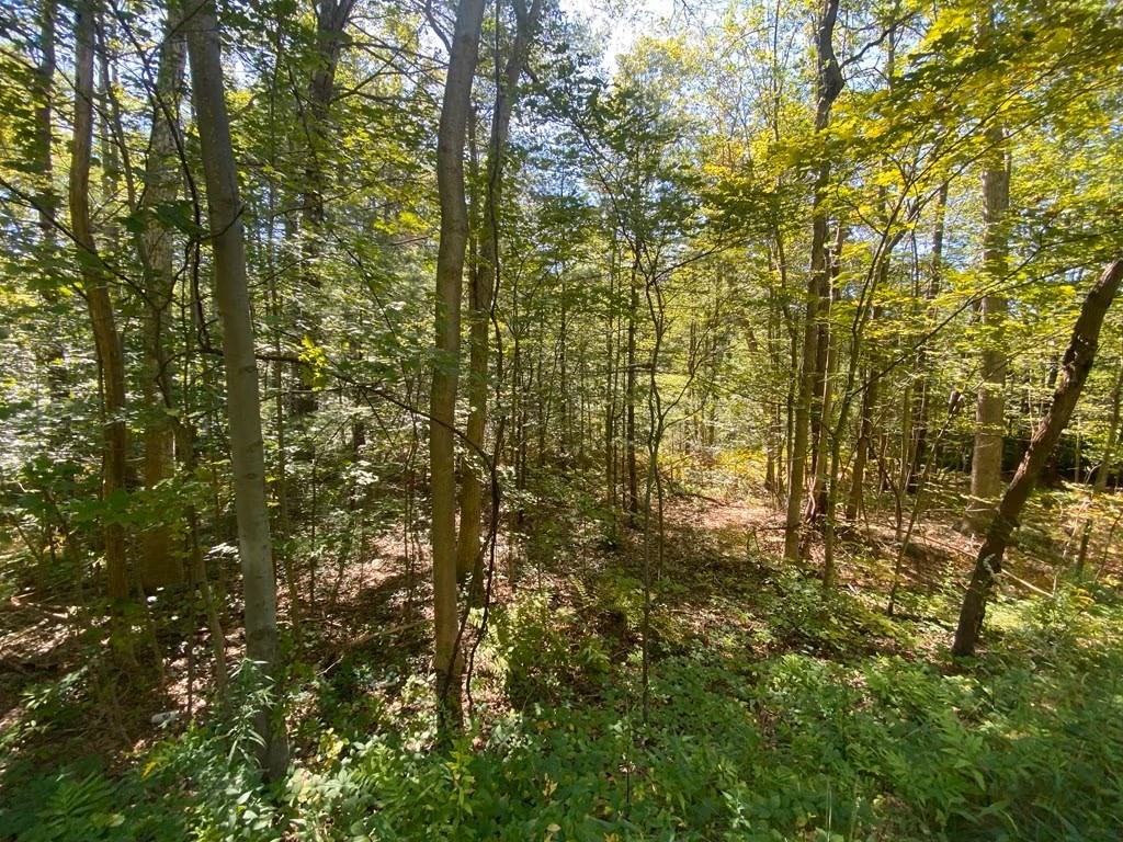 45 Fox Hill Rd