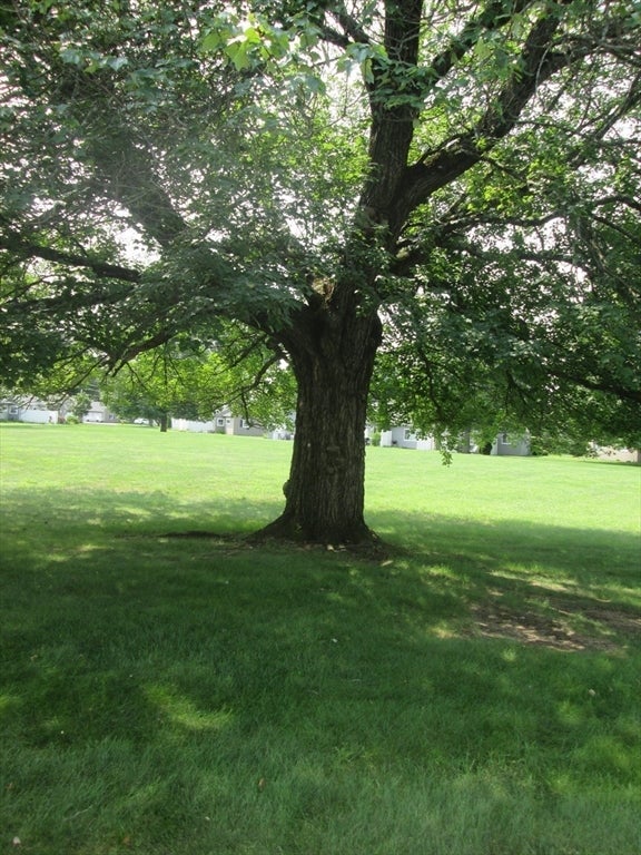 188 Horseshoe Dr #188, Chicopee, MA Photo #21