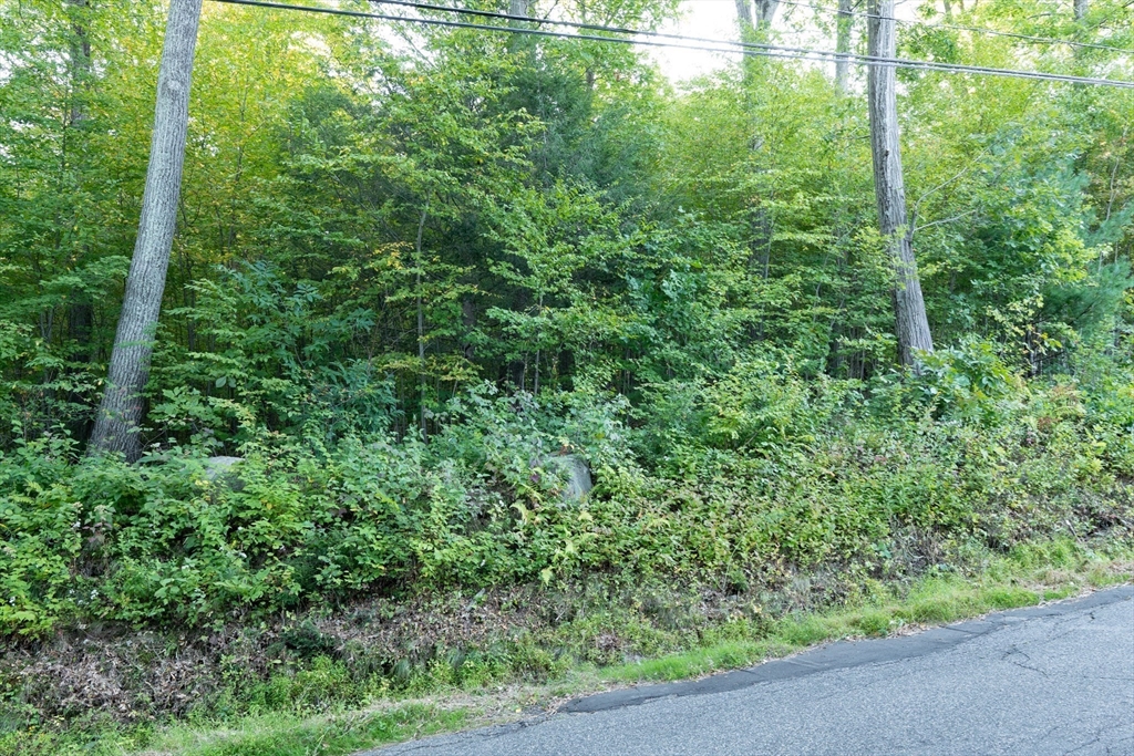 Monson, Massachusetts 01057, United States, ,Land,Active,218793