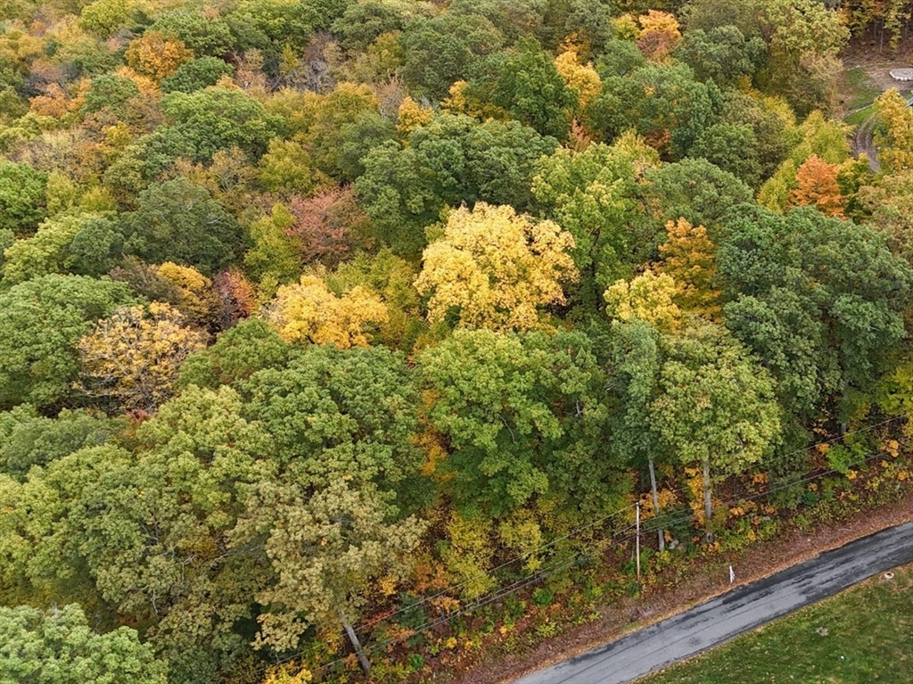 Monson, Massachusetts 01057, United States, ,Land,Active,218793