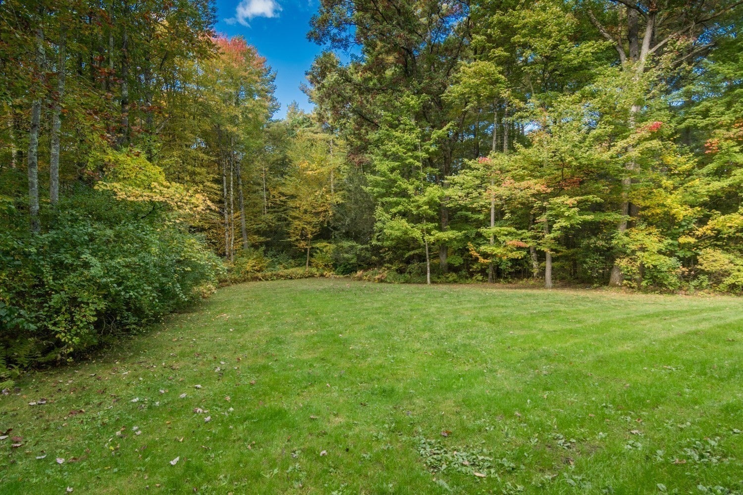 166 Harkness Road, Amherst, MA, 166 Harkness Road, Amherst, MA Photo #39
