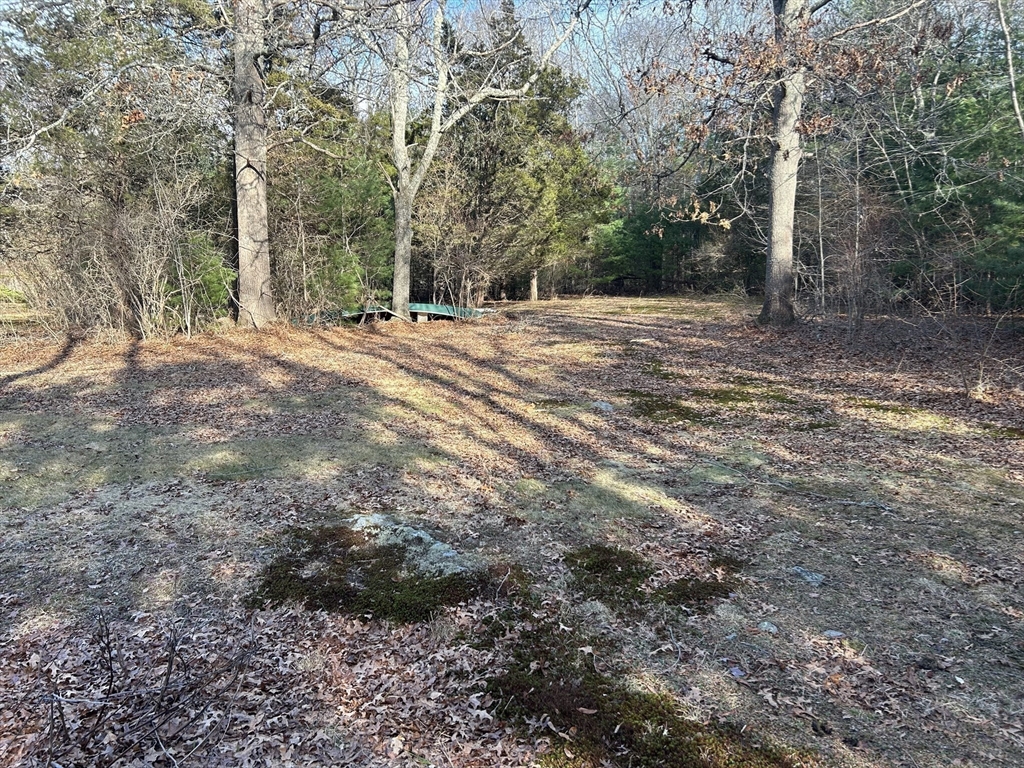 1593 Old Williams Street