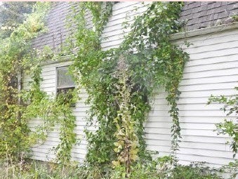 7 Linden Street, Oxford, MA, 7 Linden Street, Oxford, MA Photo #5