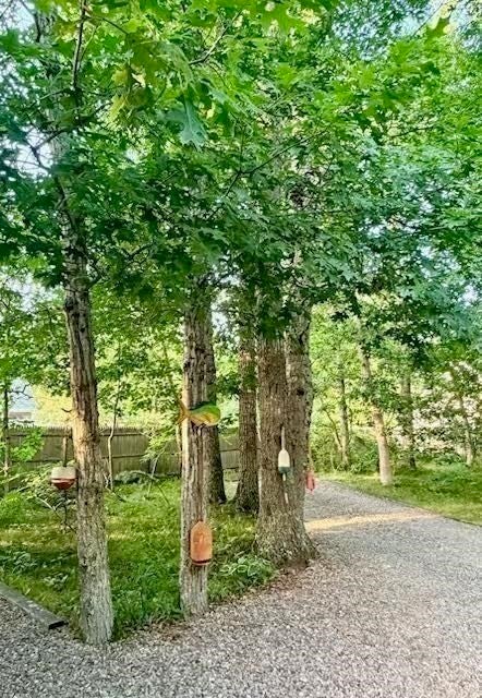 2570 Nauset Rd, Eastham, MA, 2570 Nauset Rd, Eastham, MA Photo #40