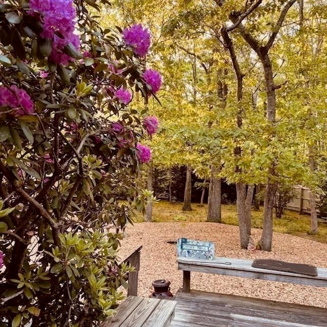 2570 Nauset Rd, Eastham, MA, 2570 Nauset Rd, Eastham, MA Photo #34