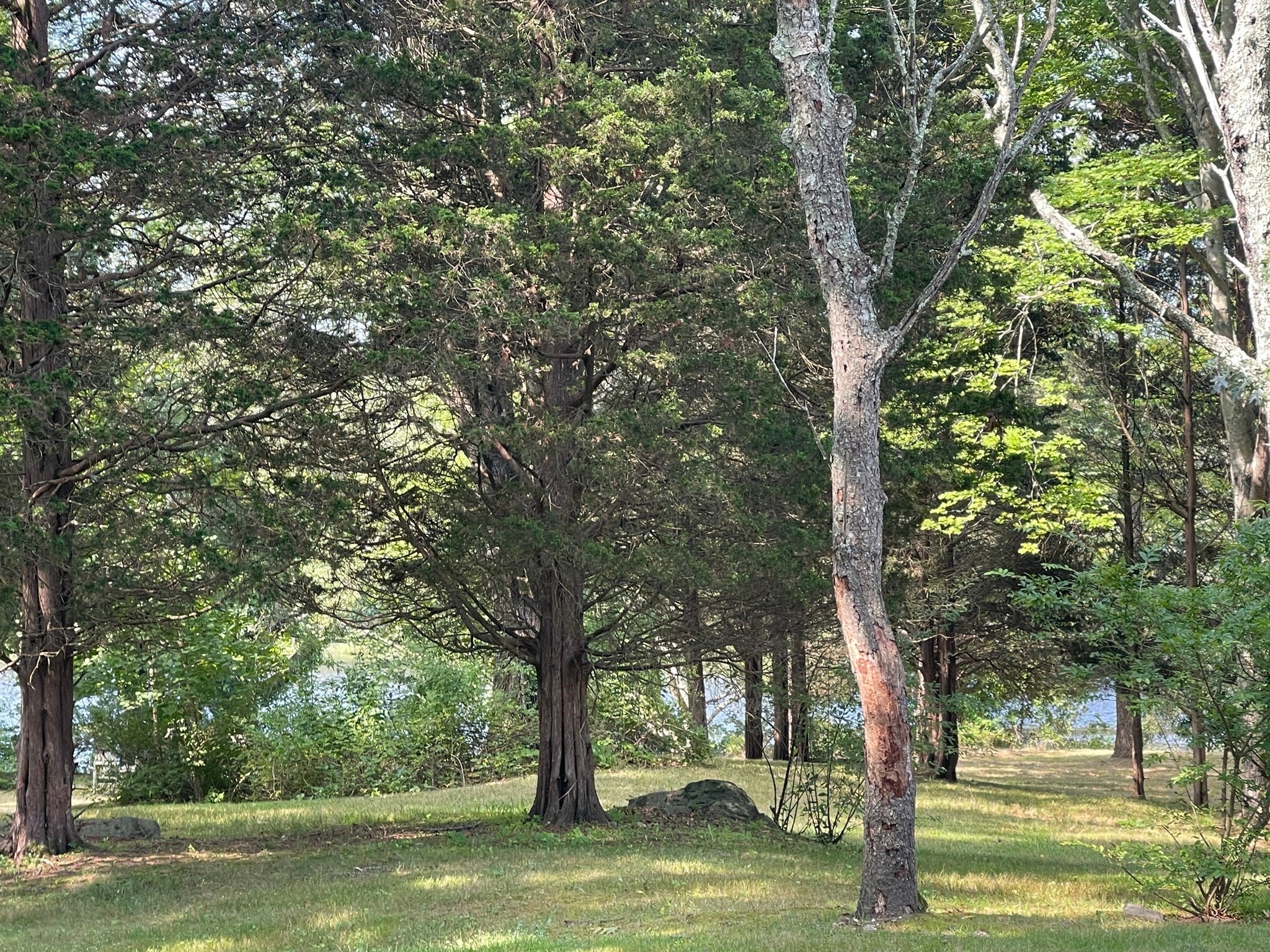 18 Town Landing Rd