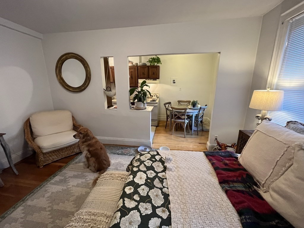 52 Strathmore Rd 33