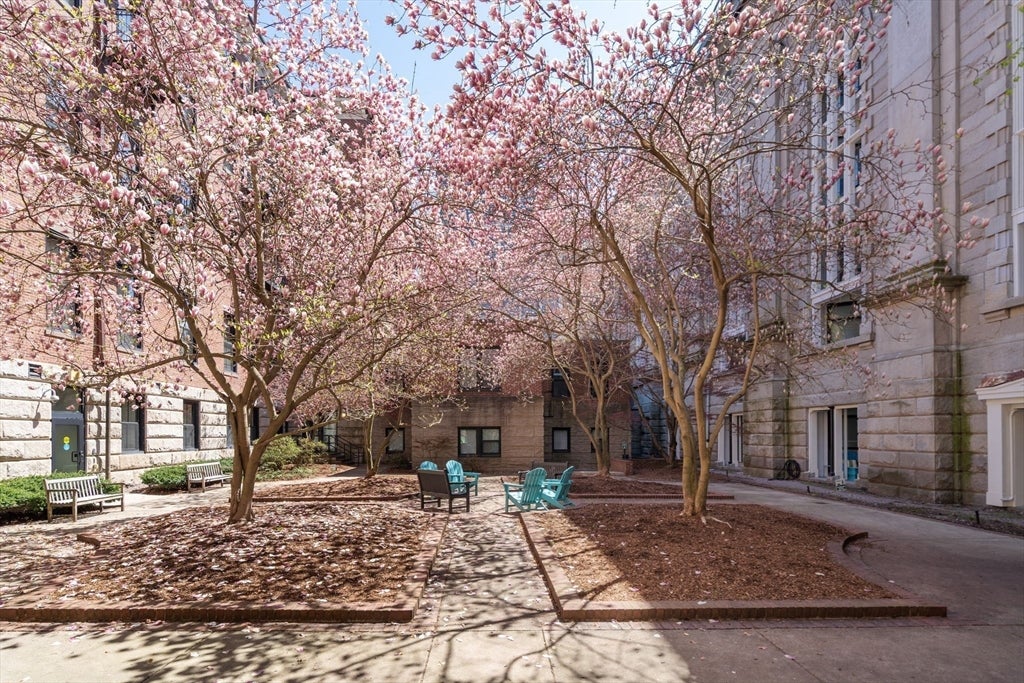 21 Father Francis Gilday St #102, Boston, MA Photo #12