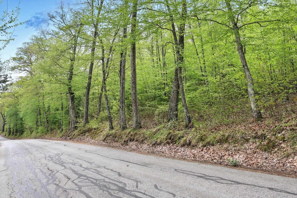 Lot 7 Reed Street