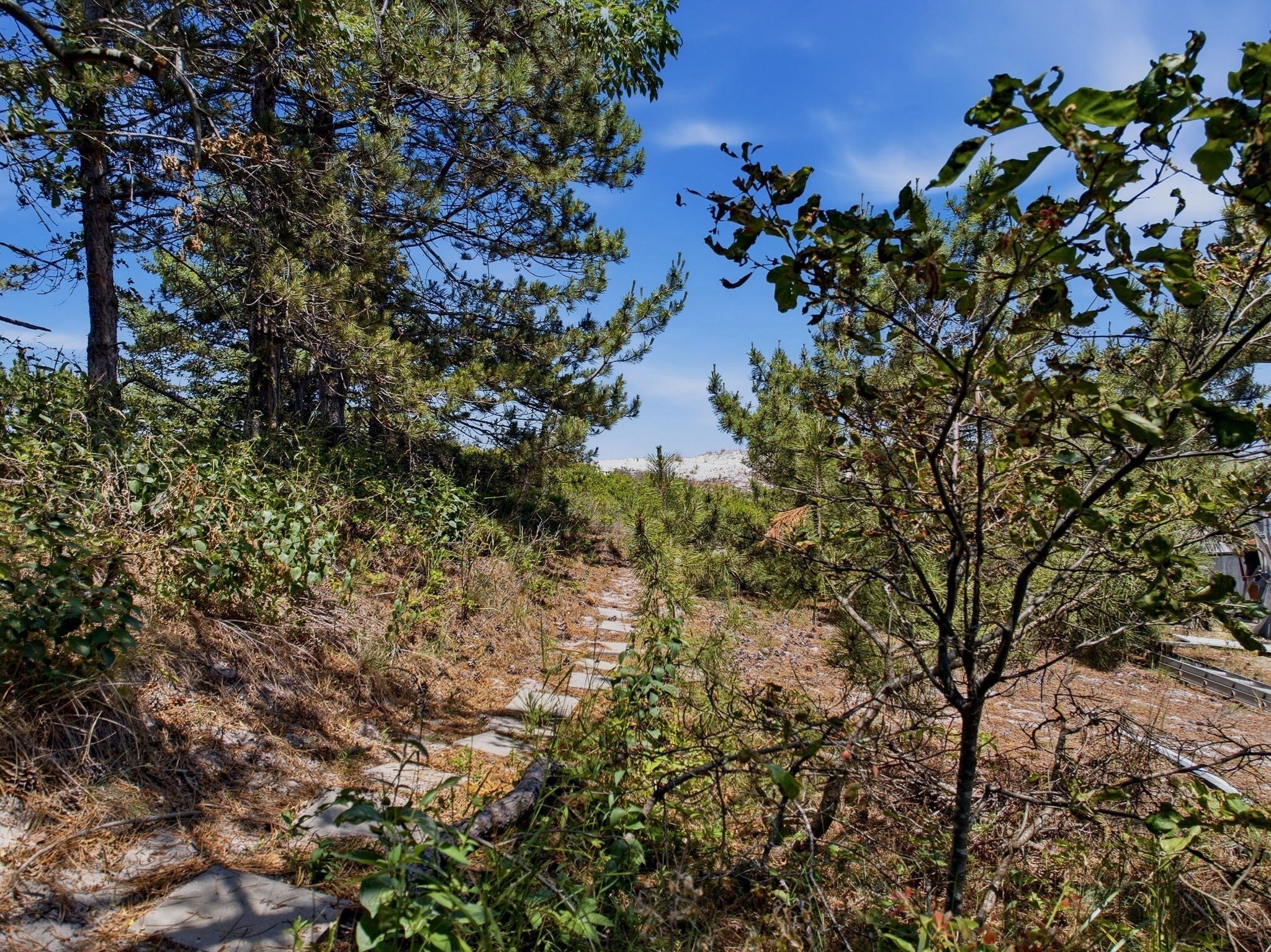 41-B Wingaersheek Rd, Gloucester, MA, 41-B Wingaersheek Rd, Gloucester, MA Photo #38
