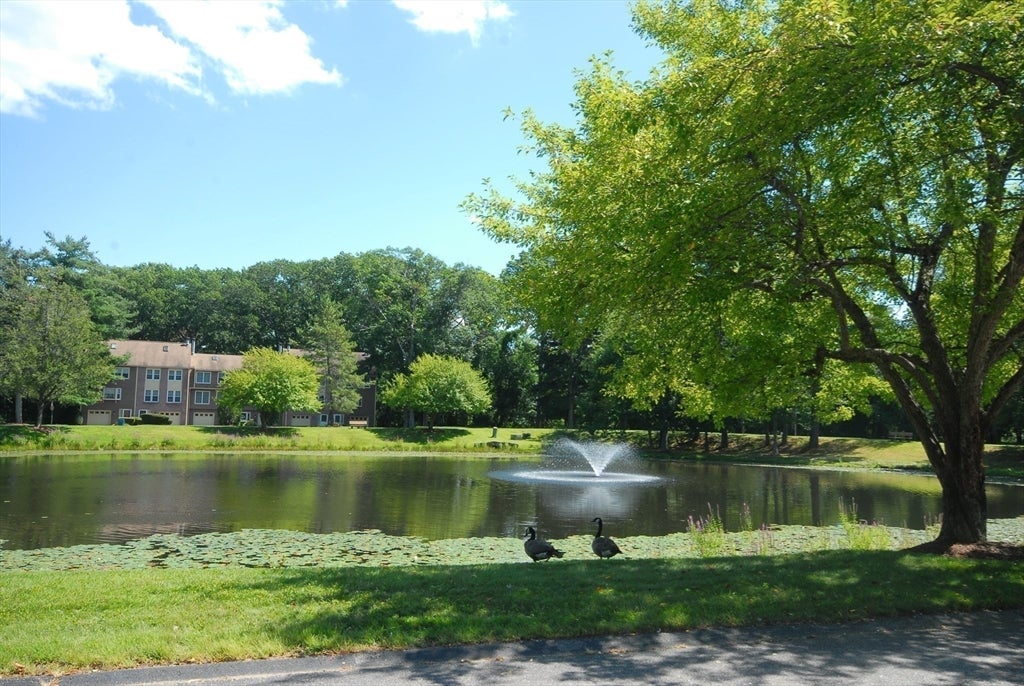 98 Heritage Dr #98, Tewksbury, MA Photo #7