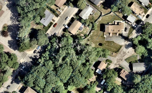60 MONTEREY AVE, MATTAPAN, MA 02126 - Image b459ef7cd4d9274e1d2a2a7710dbfef8/357870099