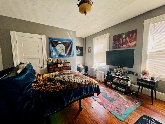 28 Clarkson St #2, Boston, MA, 28 Clarkson St #2, Boston, MA Photo #5