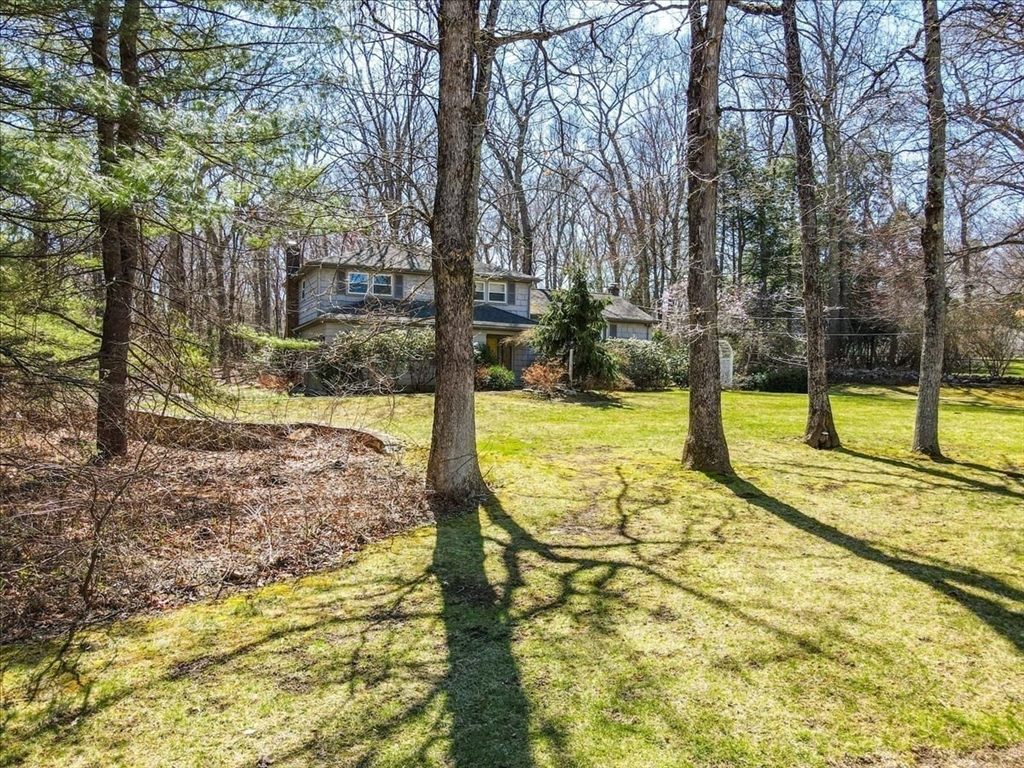 51 Saxon Road