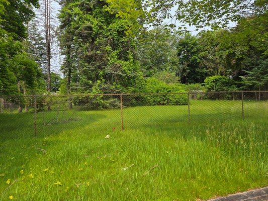 37 KANE ST, SPRINGFIELD, MA 01119 - Image b4ccdc86d94ece8dd17a4d6f7255d6a2/2349706870