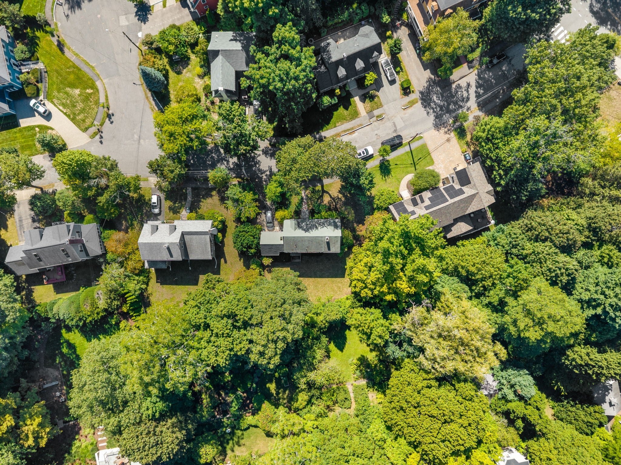 20 Buswell Park, Newton, MA, 20 Buswell Park, Newton, MA Photo #22