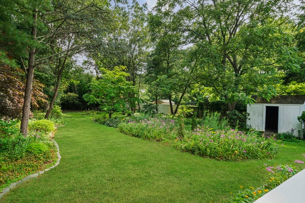 36 Vine Street, Randolph, MA Photo #31