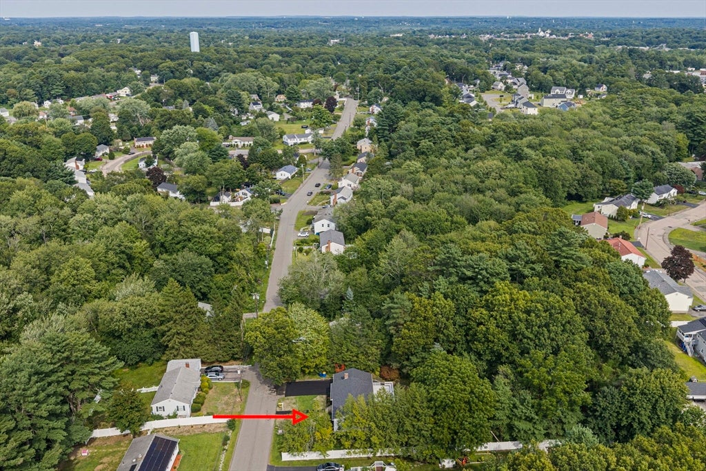 36 Vine Street, Randolph, MA Photo #39