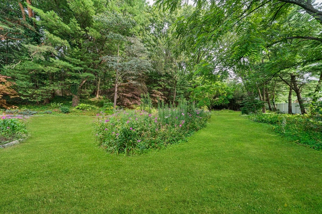 36 Vine Street, Randolph, MA Photo #32