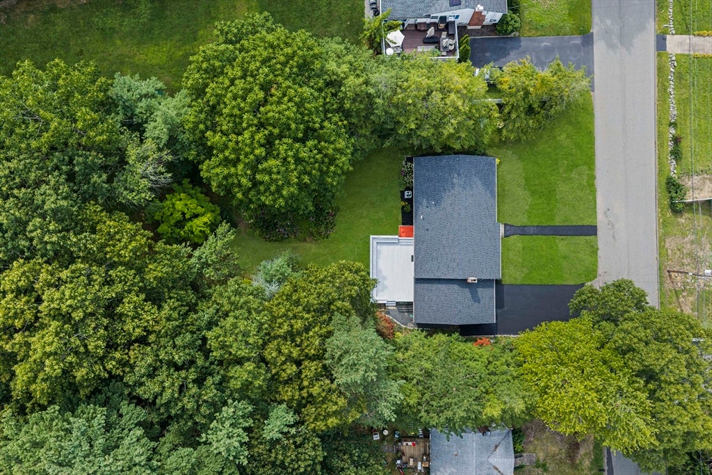 36 Vine Street, Randolph, MA Photo #42