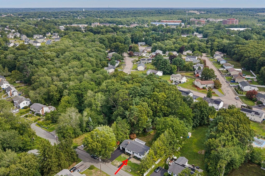 36 Vine Street, Randolph, MA Photo #38
