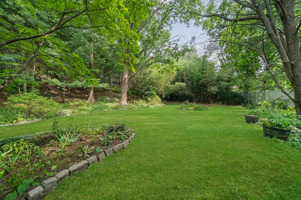 36 Vine Street, Randolph, MA Photo #35