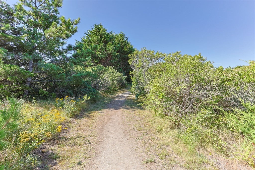 10 Windigo Ln, Truro, MA Photo #29