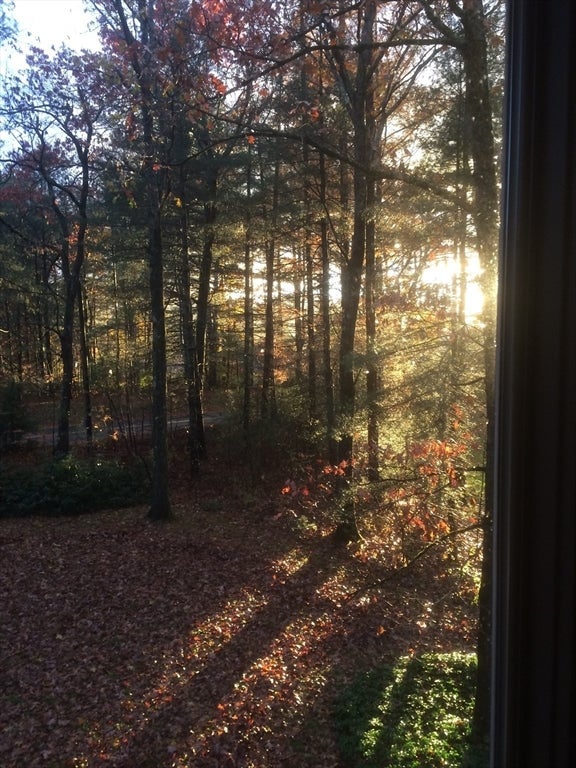 494 Station Rd, Amherst, MA, 494 Station Rd, Amherst, MA Photo #31
