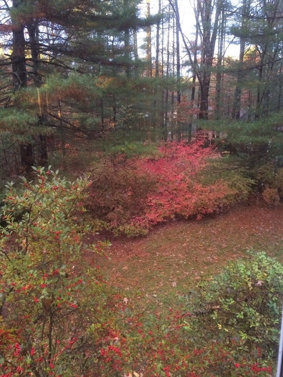 494 Station Rd, Amherst, MA, 494 Station Rd, Amherst, MA Photo #30