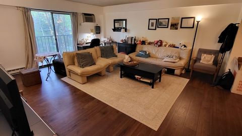 135 Pleasant St 305 Brookline MA 02446