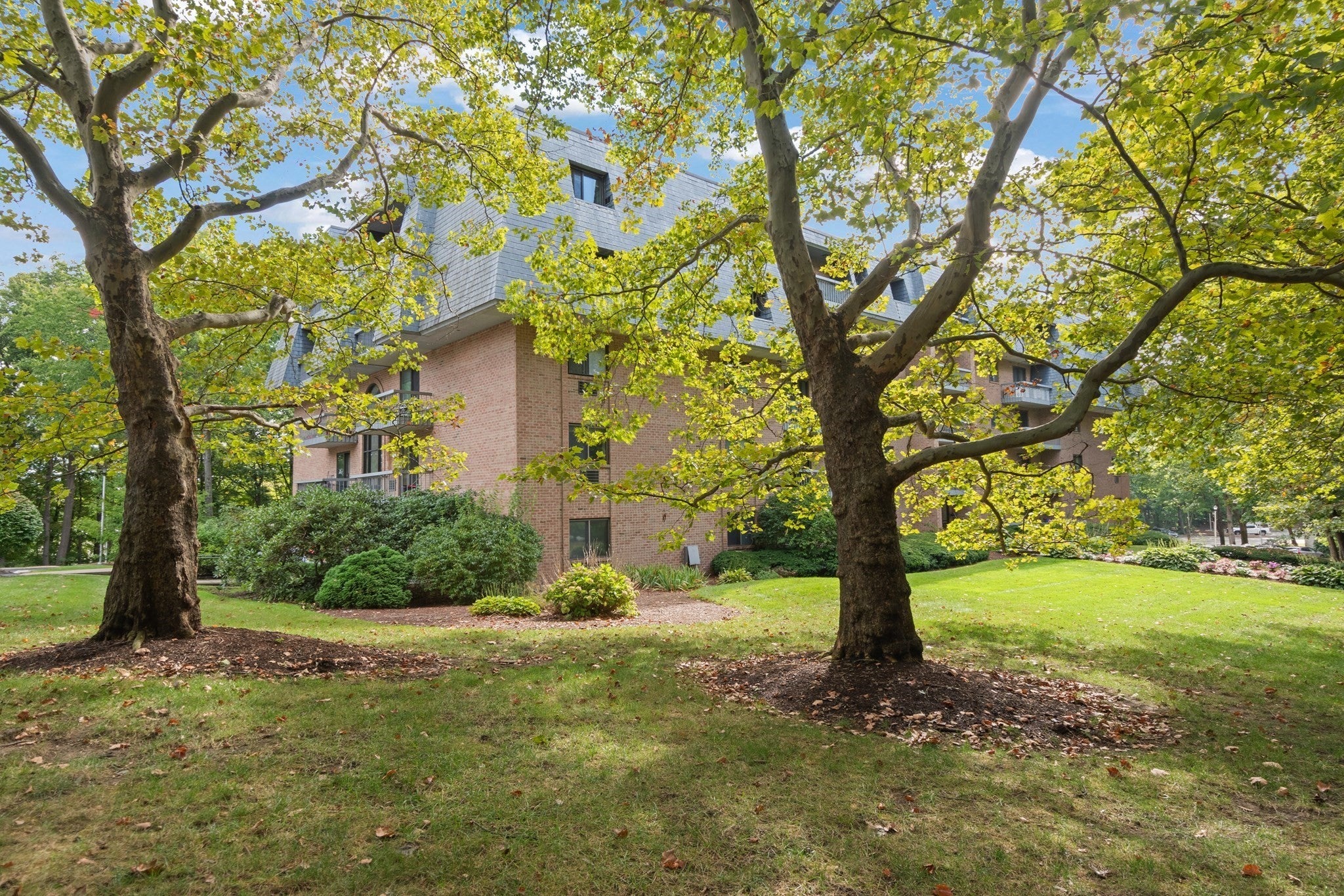 65 Commons Dr #306, Shrewsbury, MA, 65 Commons Dr #306, Shrewsbury, MA Photo #22