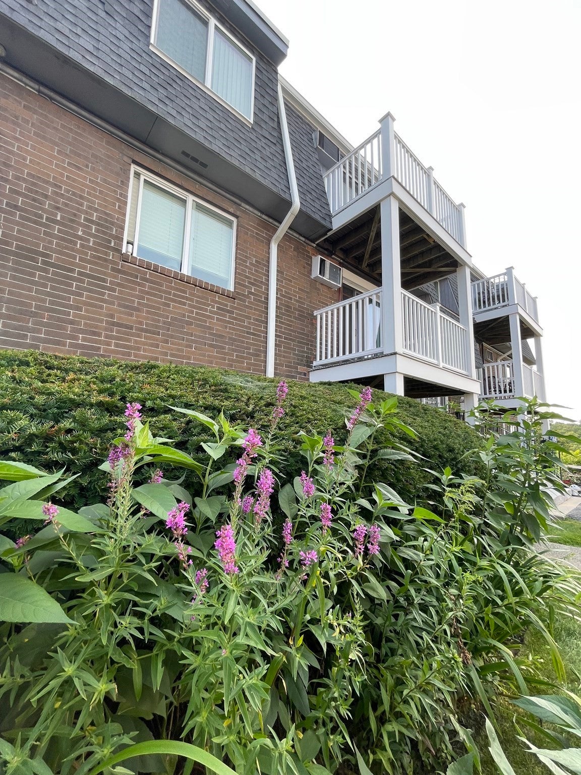 145 Essex Ave #308, Gloucester, MA, 145 Essex Ave #308, Gloucester, MA Photo #15