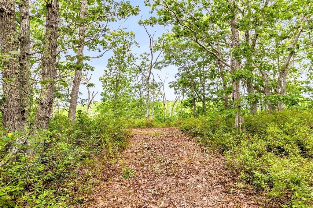 35A Higgins Hollow Rd