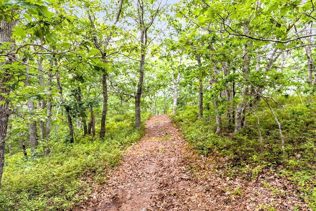 35A Higgins Hollow Rd