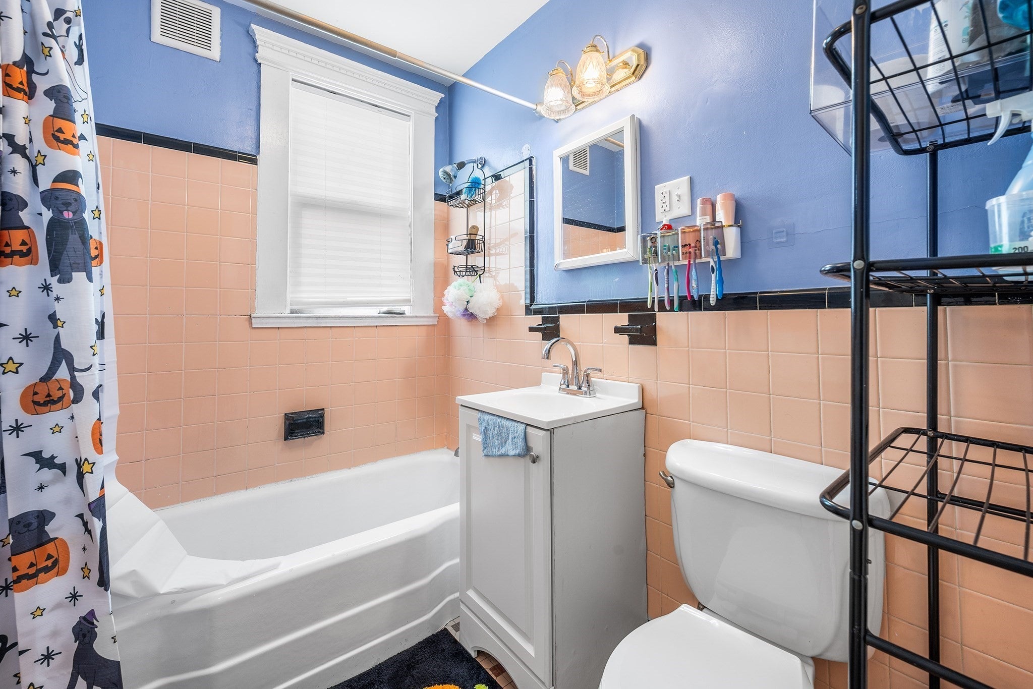 27 Bradshaw St, Boston, MA, 27 Bradshaw St, Boston, MA Photo #20
