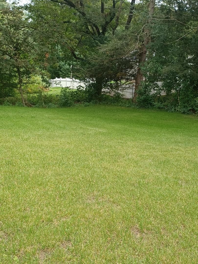 25 Geordan Ave, Wrentham, MA, 25 Geordan Ave, Wrentham, MA Photo #32