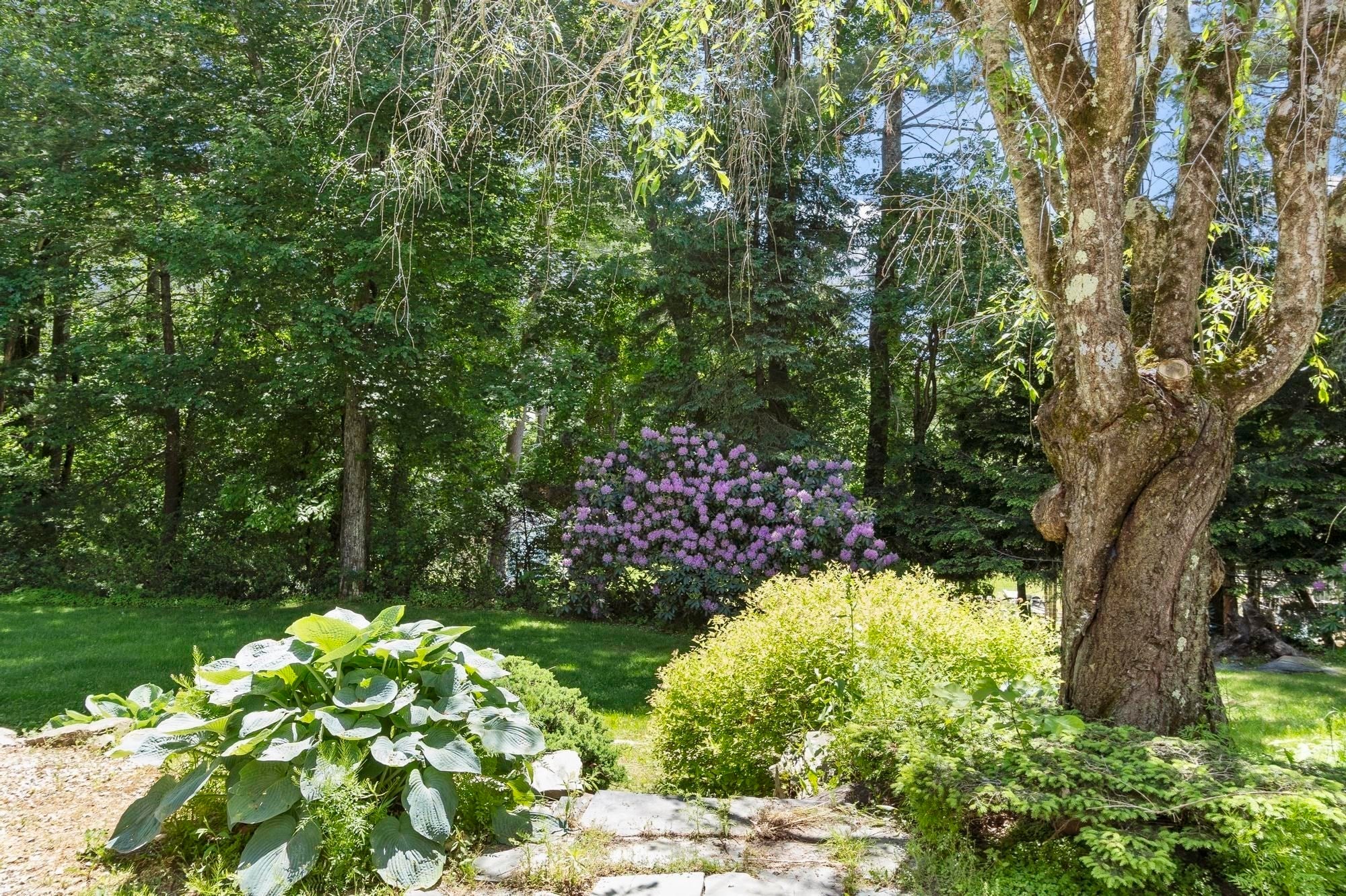 22 Ponnakin Hill Rd, Charlton, MA Photo #35