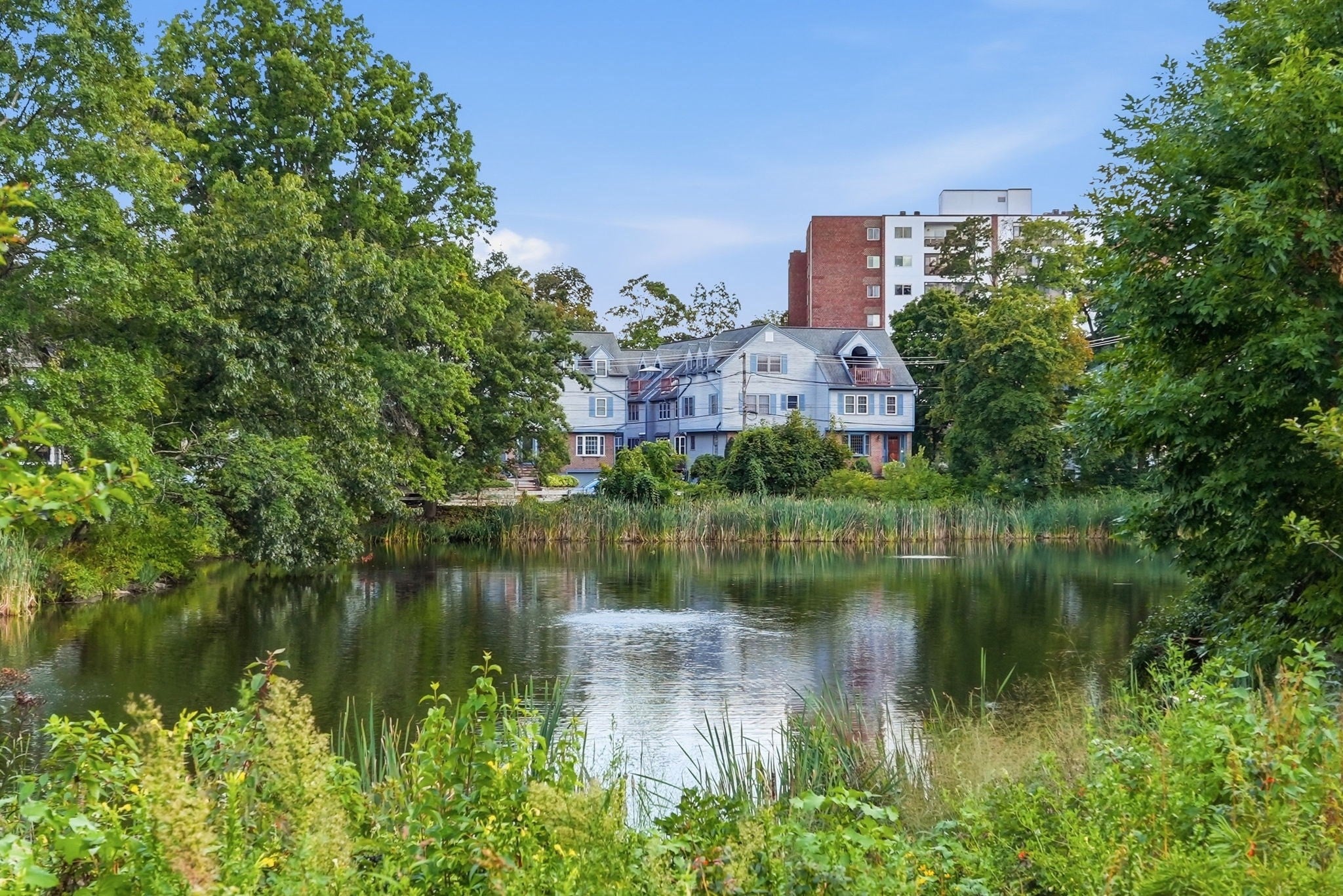 35 Merrymount Rd #3, Quincy, MA Photo #38