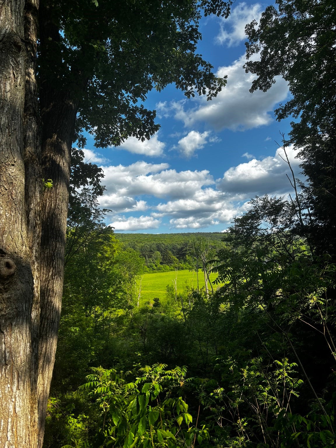 7 Iron Mine Road, West Stockbridge, MA, 7 Iron Mine Road, West Stockbridge, MA Photo #41