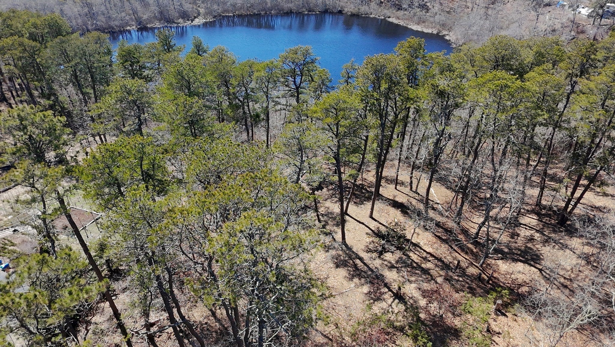 60 Perch Pond Way