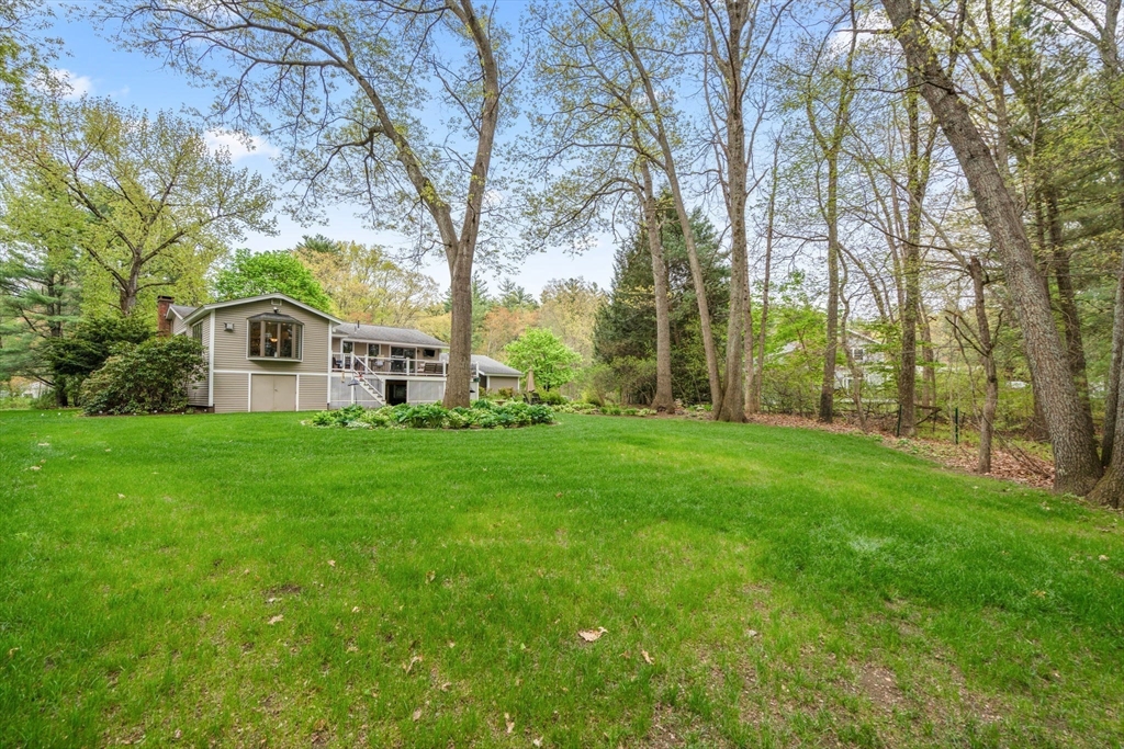 55 Saxony Drive