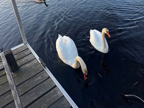 85 Crescent Street Waltham MA 02453