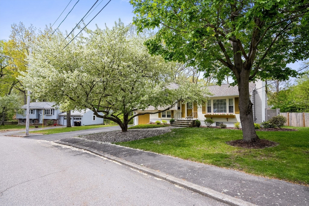 39 Woodland Drive